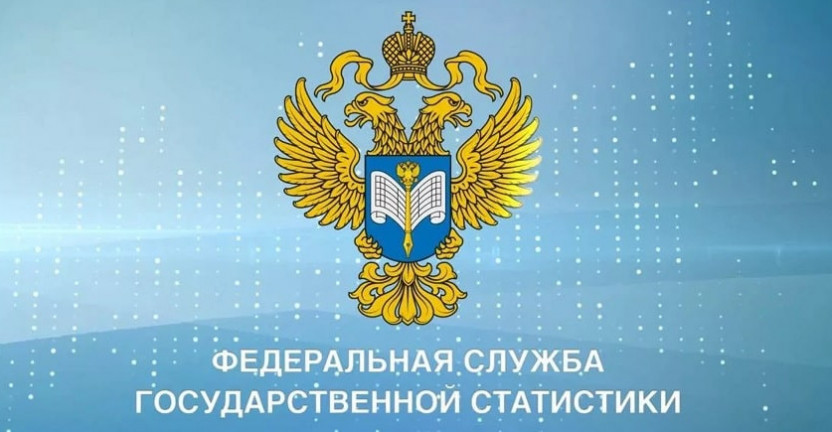 Новогоднее поздравление Руководителя Федеральной службы государственной статистики Павла Малкова