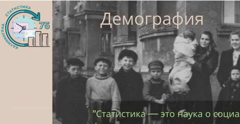 Статфайлы. Демография