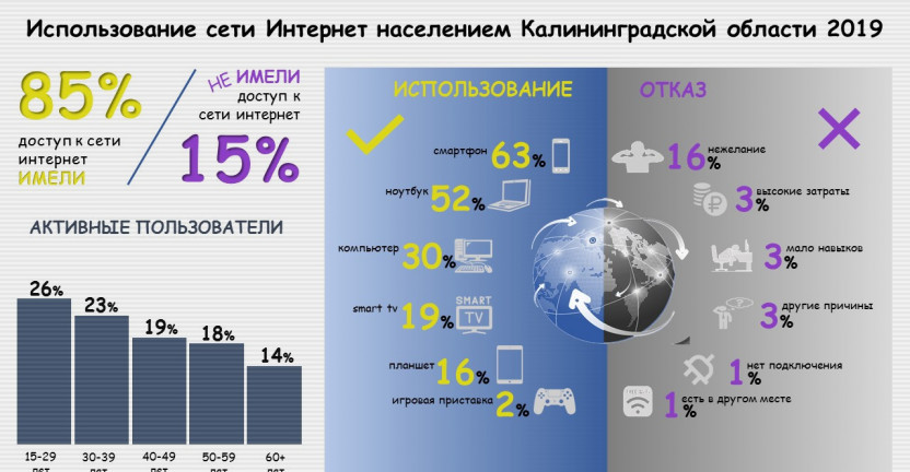 Использование сети Интернет населением Калининградской области, 2019