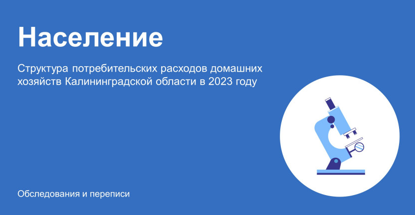 Структура потребительских расходов домашних хозяйств Калининградской области в 2023 году