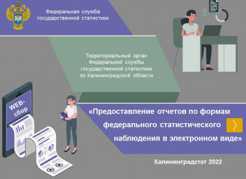 Предоставление в электронном виде. Виды электронной информации. По информации предоставленной.